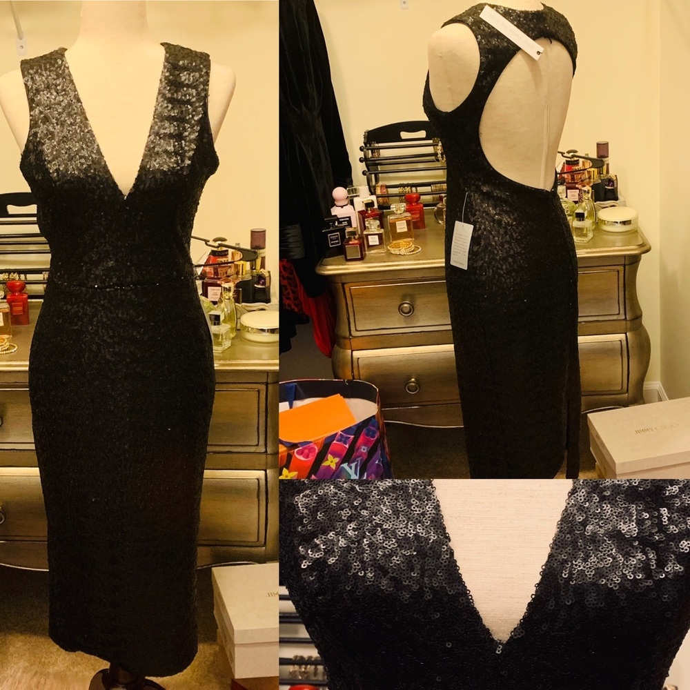 NWT Dress the Population
